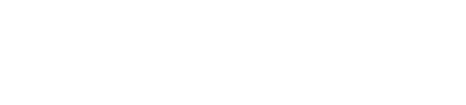 Best Friends Network